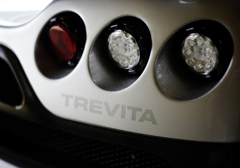 2010 4.8 Trevita