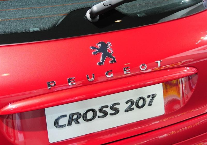 2013 CROSS 1.6L ֶԦ