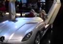 SLR Stirling Moss౱չ