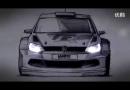 2013 ڽƳPolo R WRC