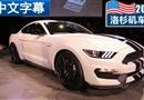 2014ɼչ ҰGT350 Shelby